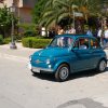 Montevago 2010 (249)